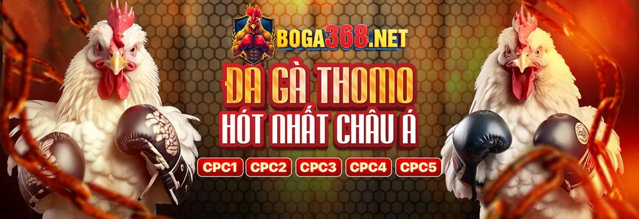 Hình ảnh tổng quan về nền tảng giải trí trực tuyến an toàn f8be chính thức